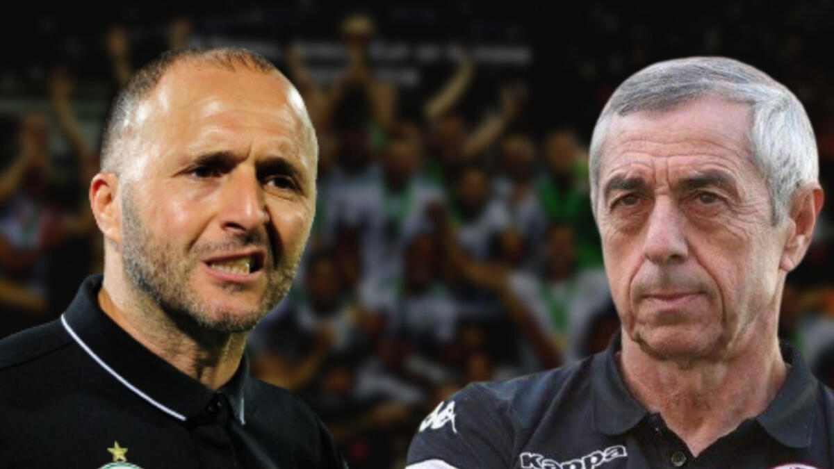 « Belmadi a de la chance d'avoir cette génération » Couplée au renouvellement du groupe parlementaire des Verts cette année avec l'ajout de plusieurs binationaux, les expériences des aînés sont perçues positivement par Belmadi, 71 ans.