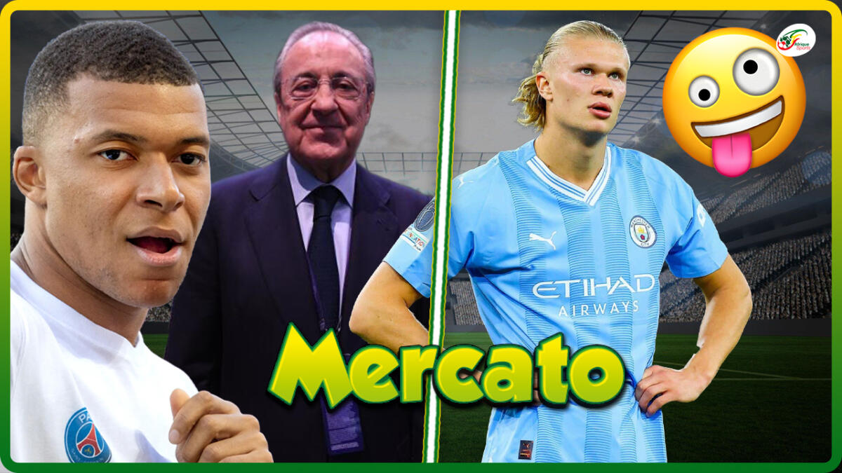 mercato 9