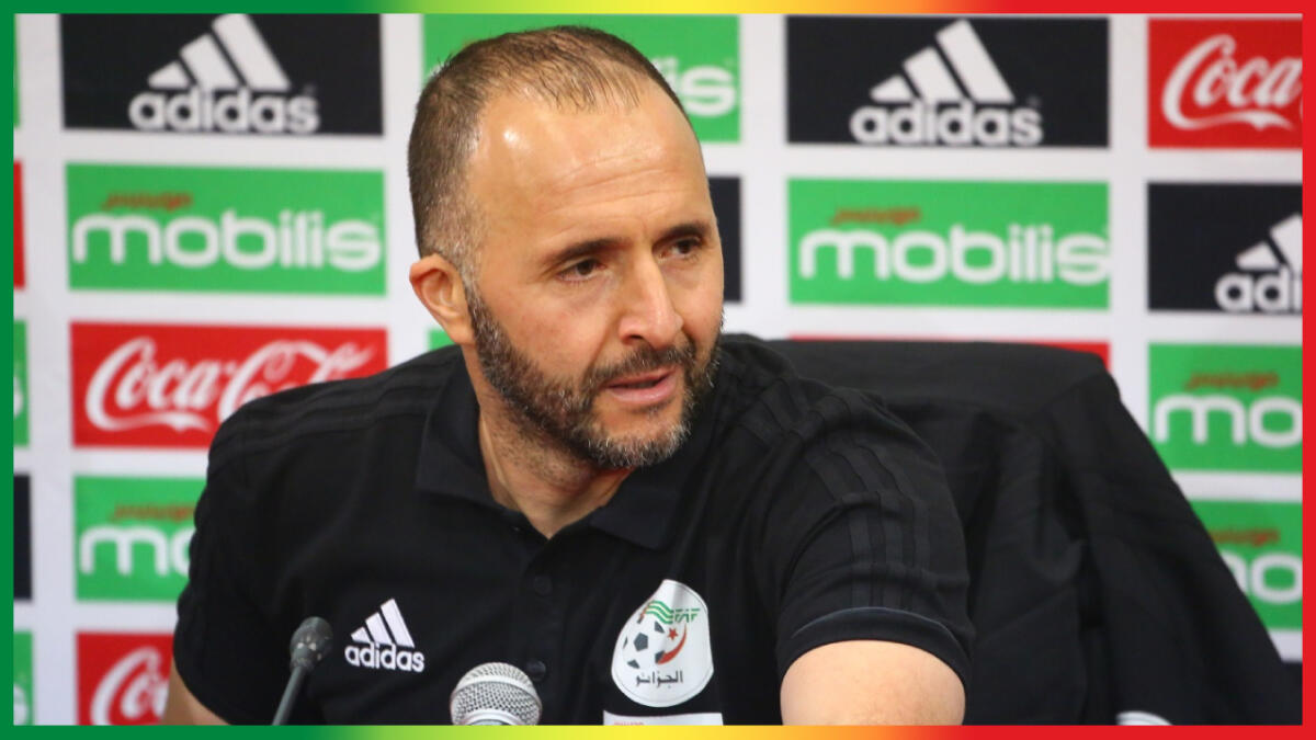 Djamel Belmadi, sélectionneur le mieux payé à la CAN 2024 : Décryptage de son salaire