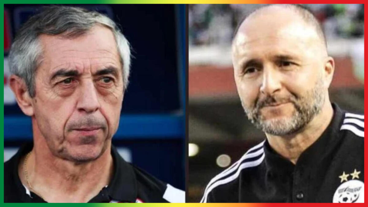 Alain Giresse donne son avis sur Belmadi