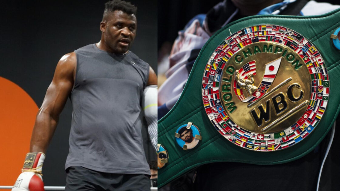 Francis Ngannou dans le Top 10 des meilleurs poids lourds WBC, il s’agace : « C’est un manque de respect pour… »
