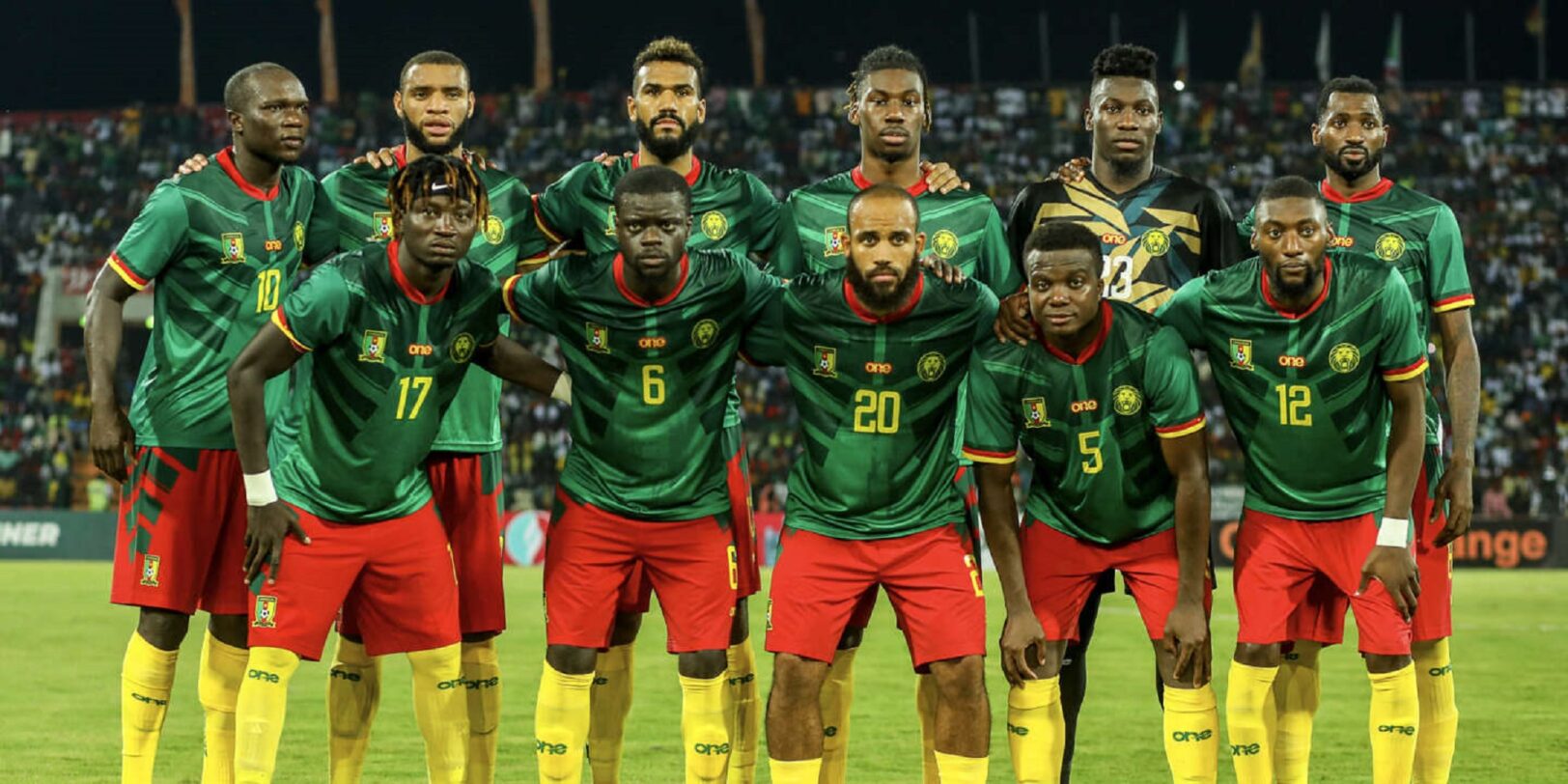 Cameroun : Le Lion Sous-estimé