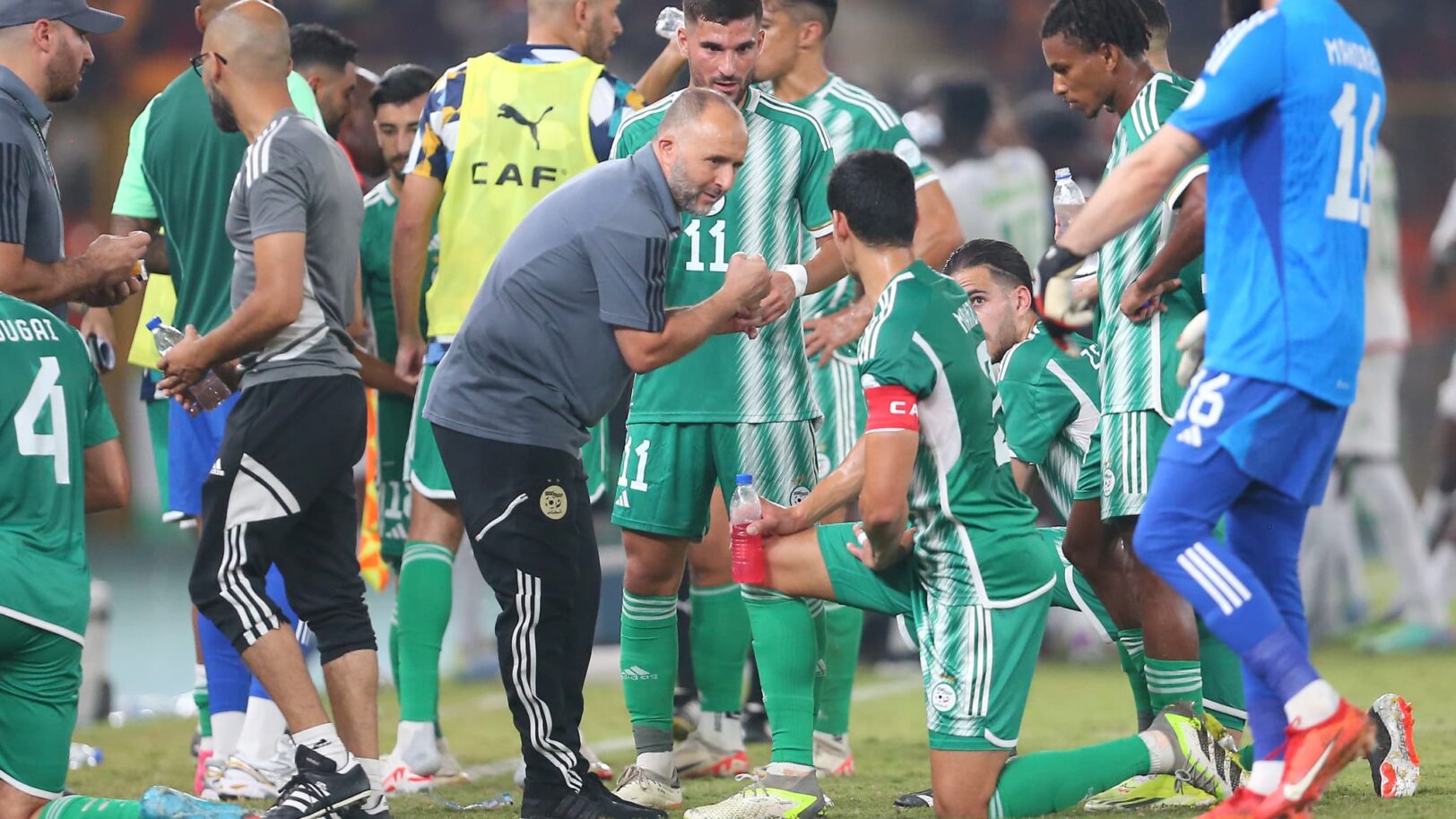 Djamel Belmadi lors du match Algerie Mauritanie 0 1 CAN le 23 janvier 2024 1791416