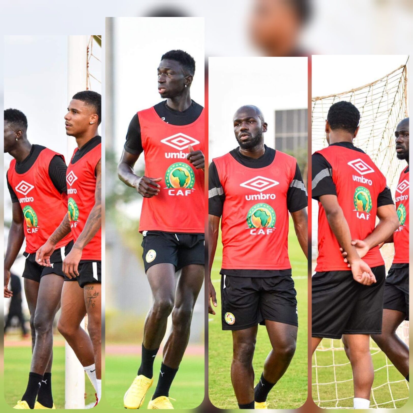 La séance d'entraînement des Lions 