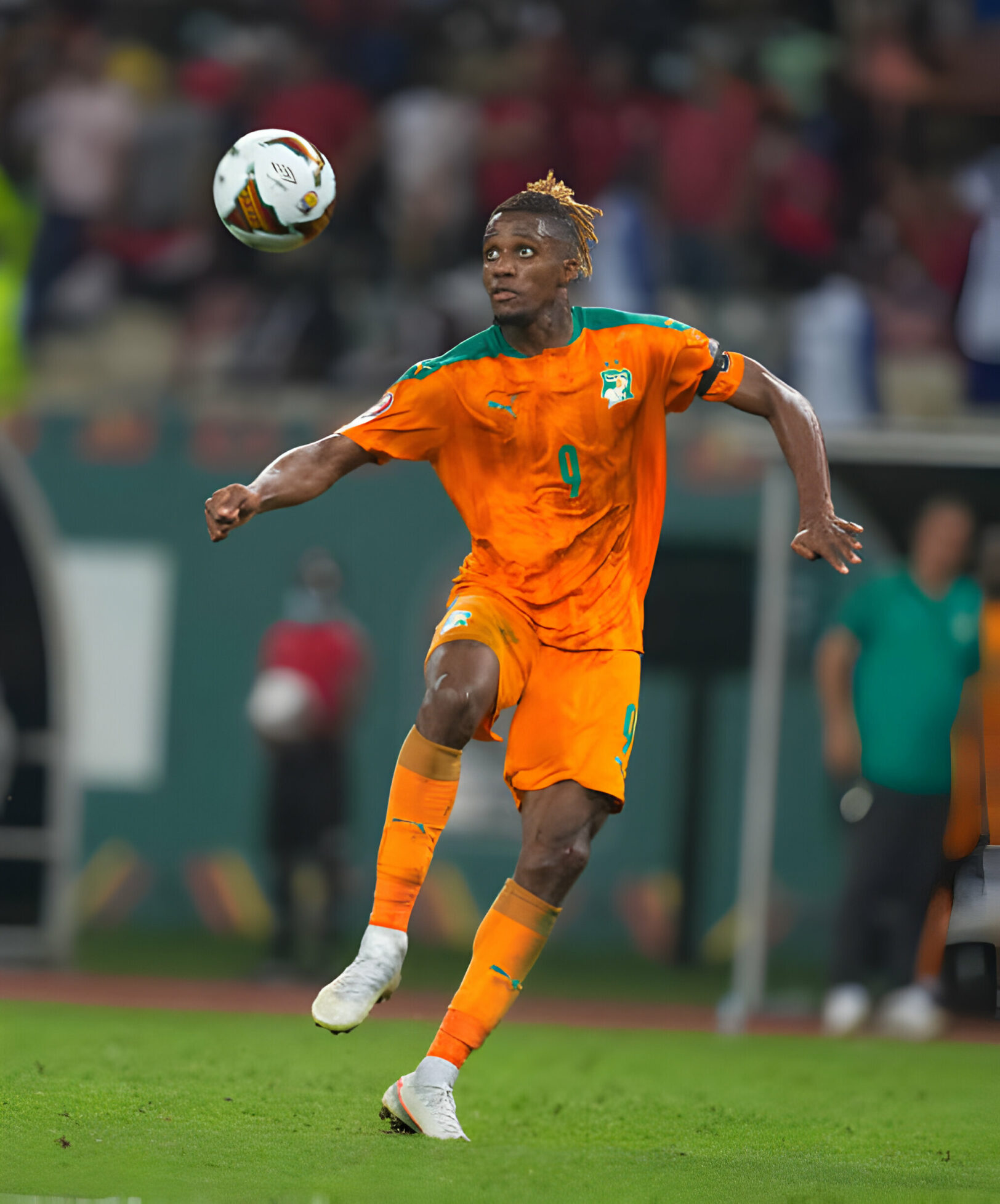 Zaha