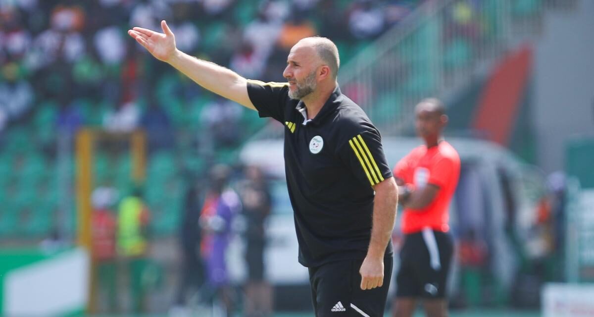 Démission en cas d'élimination ? La réponse sèche et courte de Belmadi 