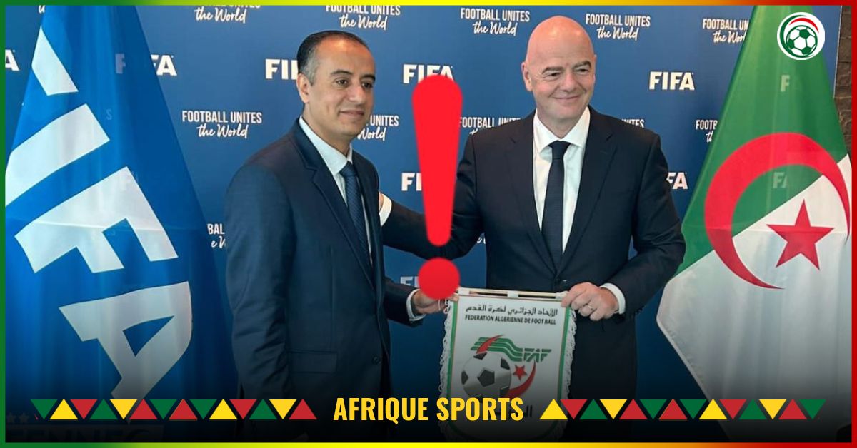 « Les entraîneurs fuient l’Algérie », de terribles révélations tombent sur Walid Sadi