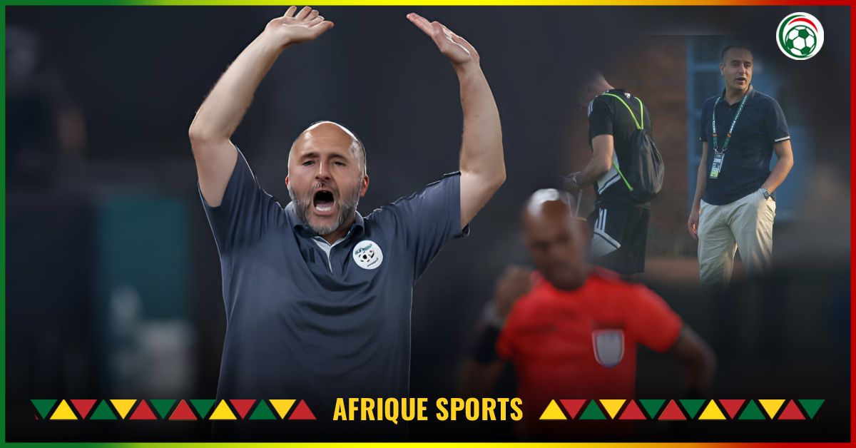 Algérie : Le successeur de Belmadi choisi fait polémique !