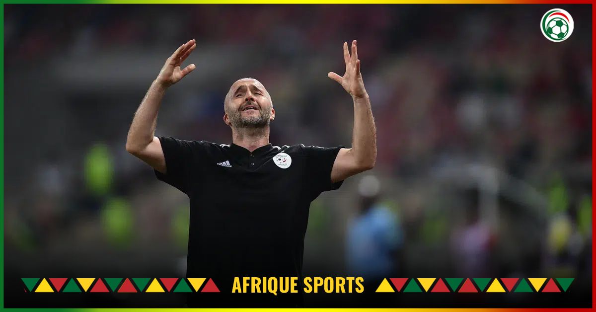 OM : Belmadi, le profil idéal ?