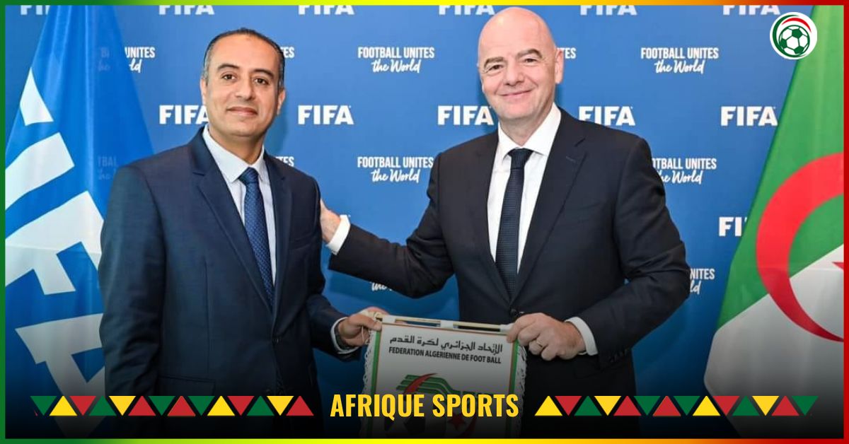 Algérie : La FAF révèle « des discussions en cours avec le futur sélectionneur »