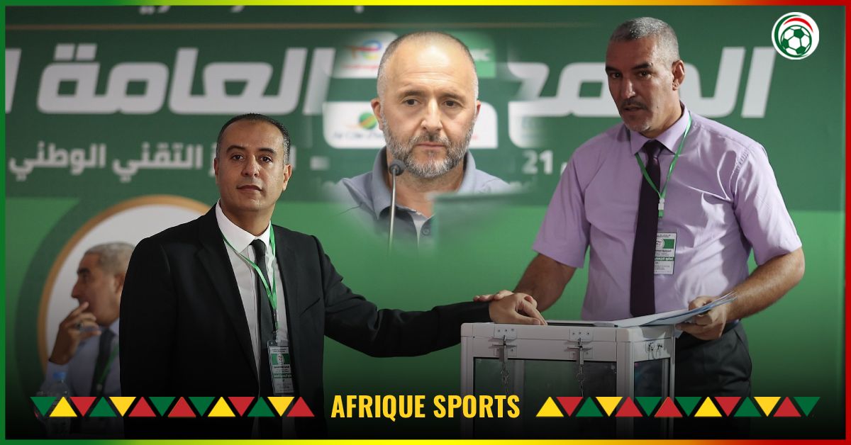 Algérie : La Commission dévoile 4 Candidats pour le poste de sélectionneur !