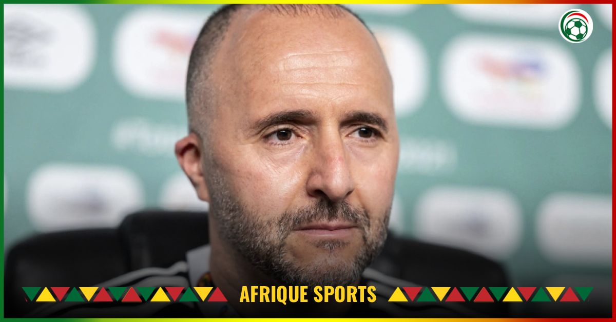 Clause complètement folle : Djamel Belmadi, de retour avec l’Algérie si….