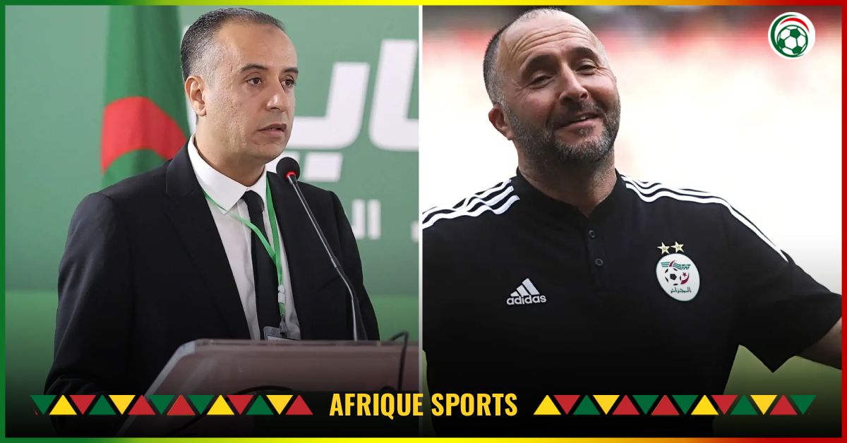 FAF : Un vote organisé pour choisir le futur sélectionneur de l’équipe d’Algérie ?