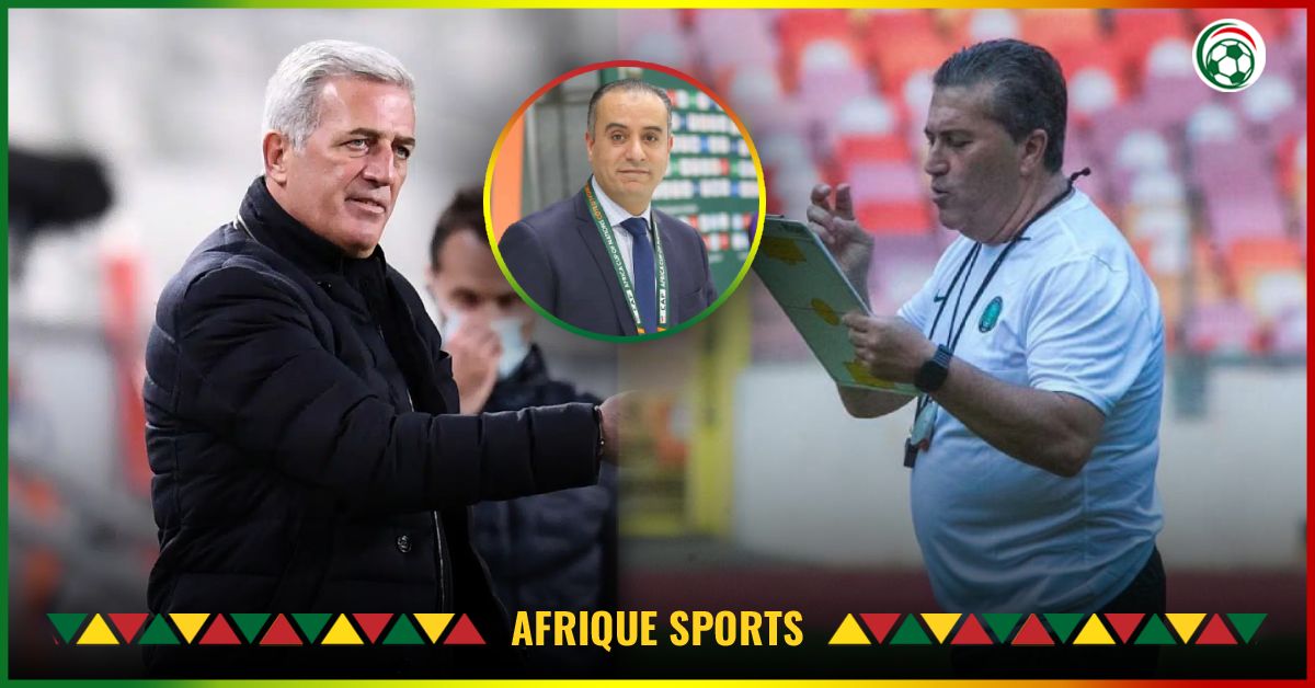 Algérie : Vladimir Petkovic ou José Peseiro ? La FAF aurait enfin tranché