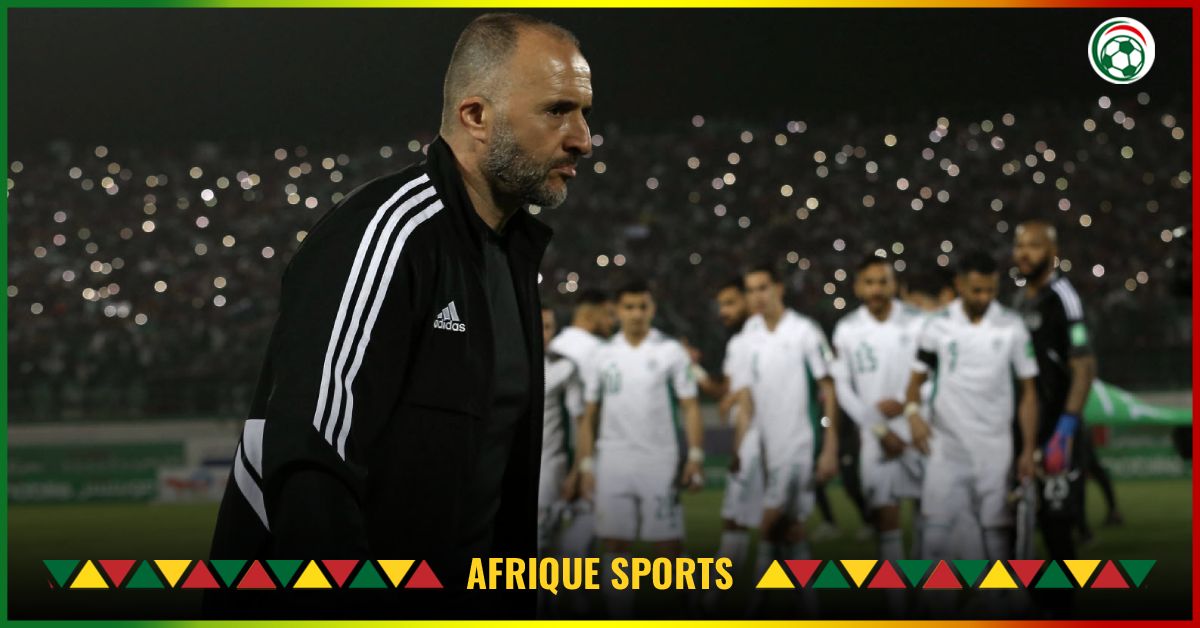 Algérie : Une rumeur farfelue circule sur le retour de Belmadi !