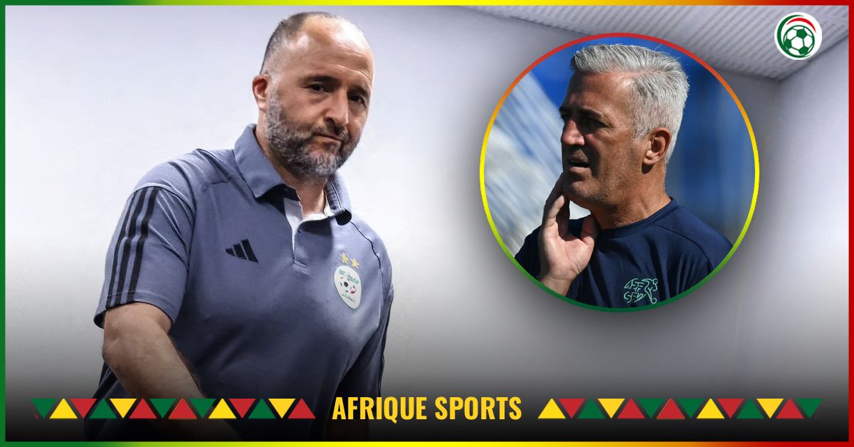 Algérie : Djamel Belmadi bloque Vladimir Petkovic