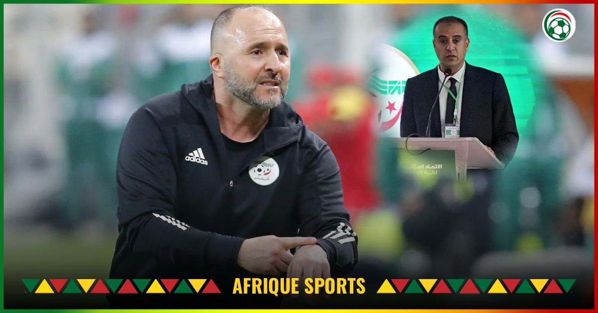 Remplacement de Belmadi ! L’inattendue annonce de la FAF