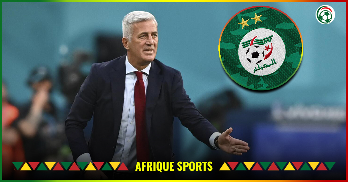 Algérie : C’est officiel, Belmadi remplacé par un célèbre entraîneur