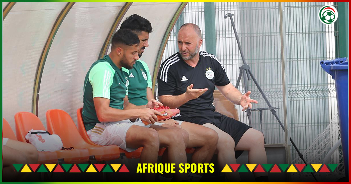 Équipe d’Algérie : Révélations sur les adjoints du nouveau coach