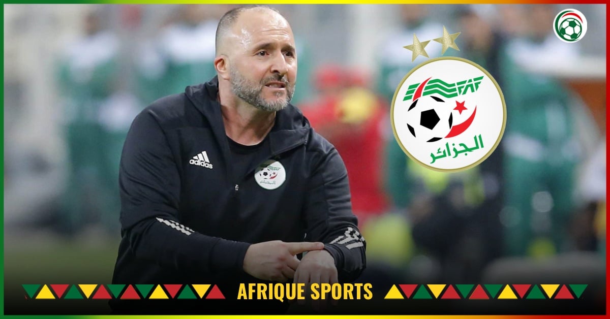 Algérie : Un candidat inattendu émerge pour remplacer Belmadi