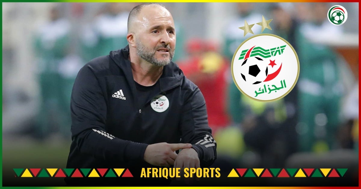 Algérie : Un candidat inattendu émerge pour remplacer Belmadi