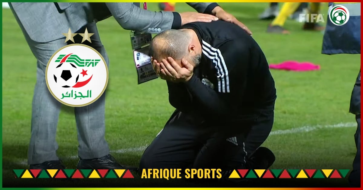 Algérie : ” Belmadi s’est loupé sur ce détail crucial ” : un expert étranger déballe tout