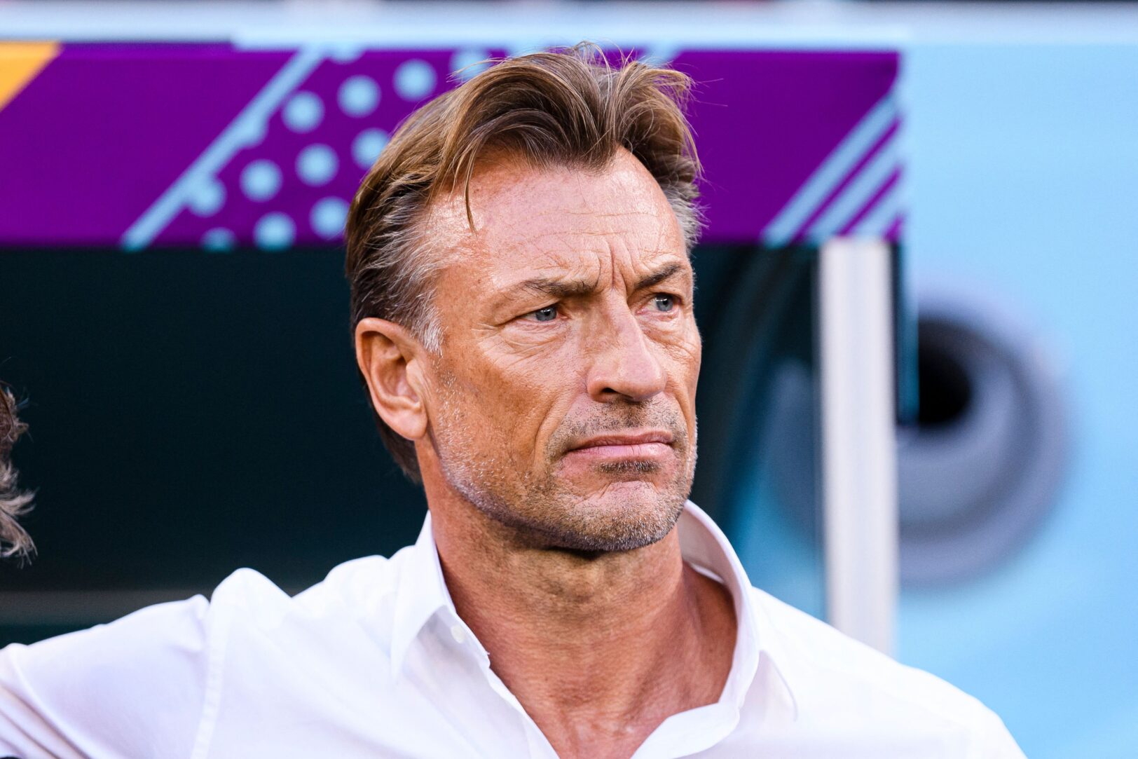 Hervé Renard