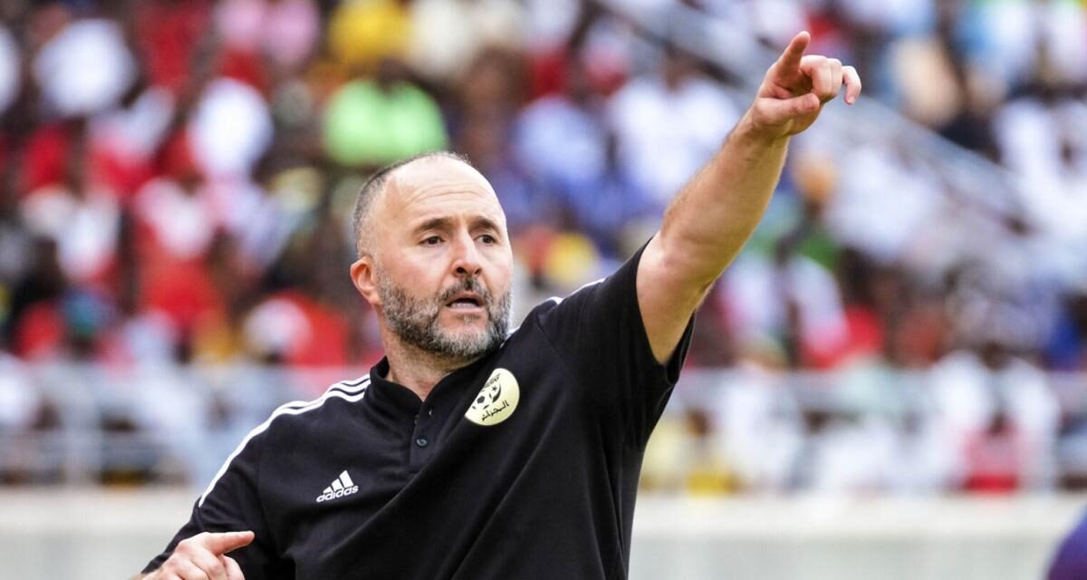 Grosse tension entre la FAF et Djamel Belmadi