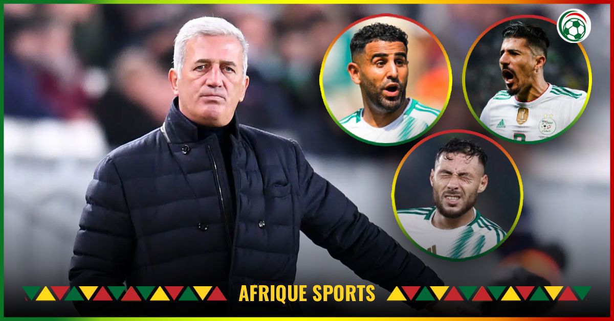 Algérie : Mahrez, Bounedjah ou Belaili, Petkovic a déjà écarté un taulier !