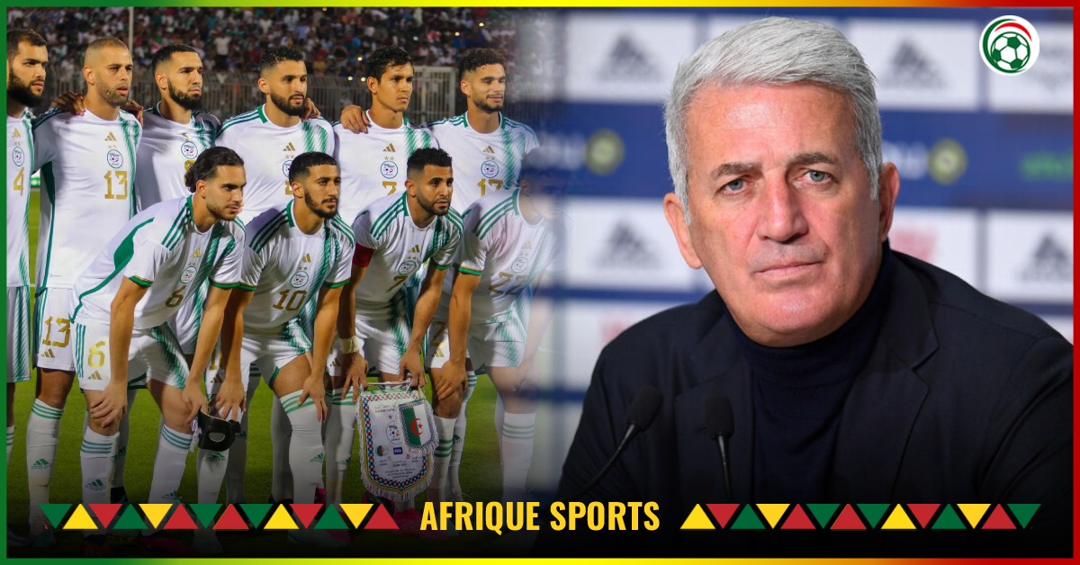 Algérie : Les premiers pas de Petkovic en contradiction avec Belmadi