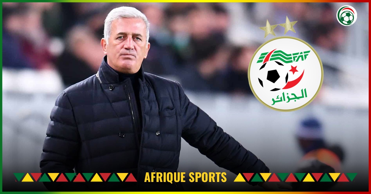 Algérie : Une légende de l’équipe conseille, ” Vladimir Petkovic devra … ”