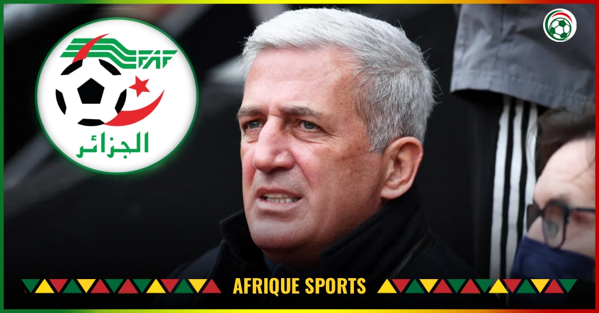 Algérie : Vladimir Petkovic reçoit une mauvaise nouvelle