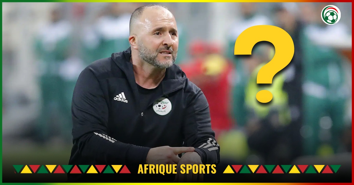 Djamel Belmadi reçoit une offre modeste d’une équipe africaine !