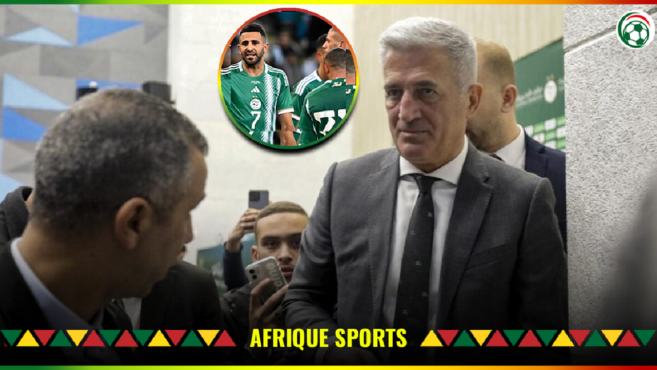 Algérie : Le gros couac de la FAF après la première liste de Vladimir Petkovic