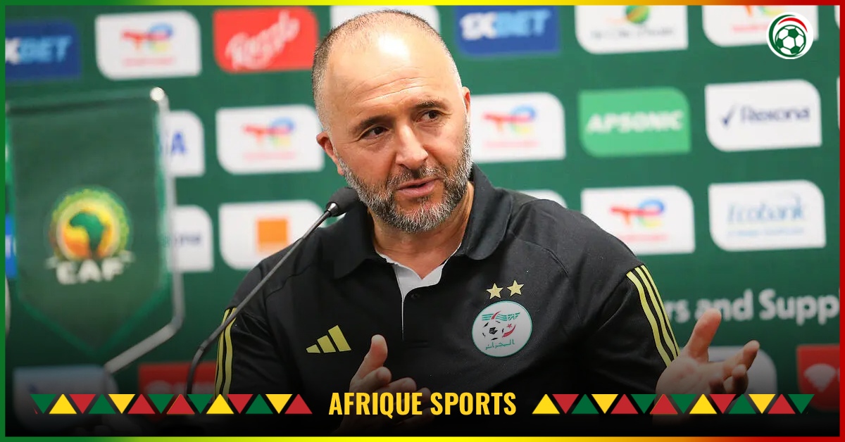 Algérie : Djamel Belmadi trouve déjà une piste pour rebondir !