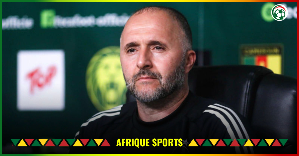 Algérie : Belmadi courtisé par une sélection du Golfe !