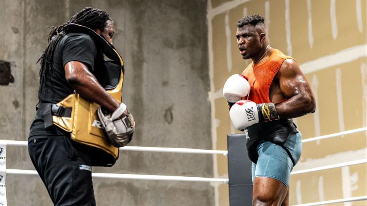 Tyson Fury - Francis Ngannou : 8 mois après le combat, la grosse surprise tombe 
