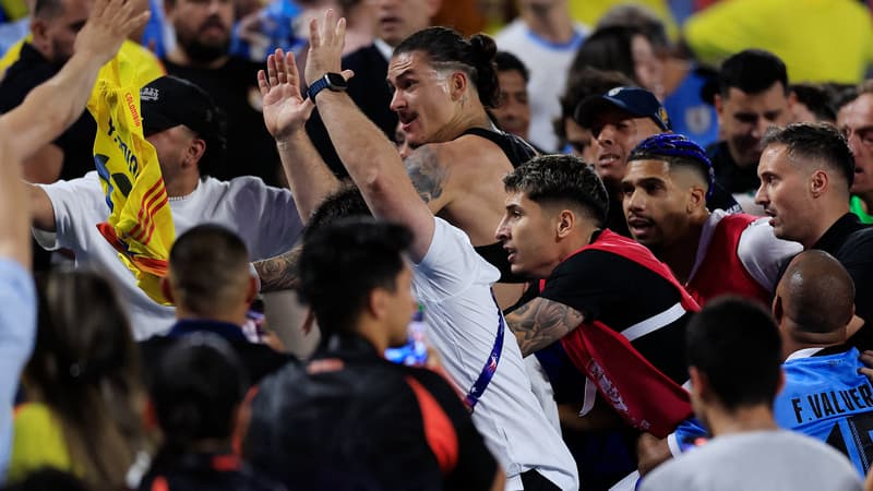 Copa America : Darwin Nunez perd son calme et se bat avec des supporters colombiens (VIDEO)