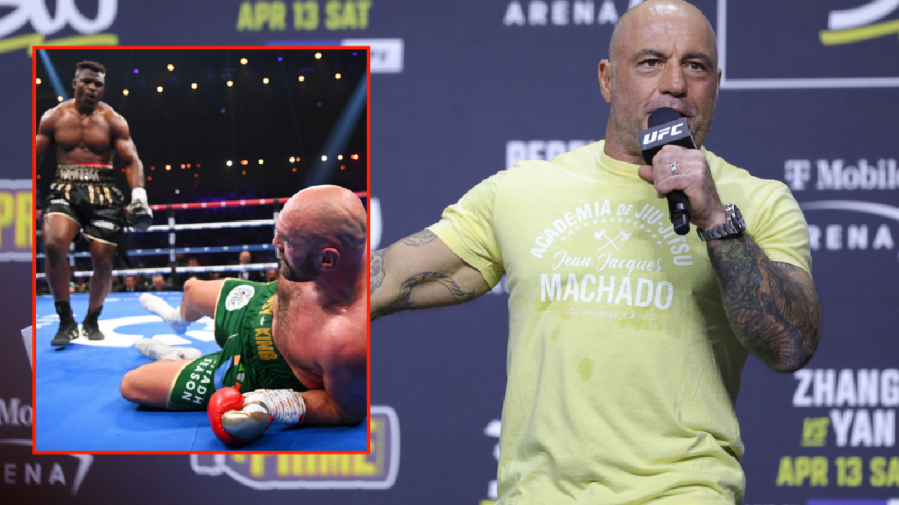 Tyson Fury - Francis Ngannou : 8 mois après le combat, la grosse surprise tombe 