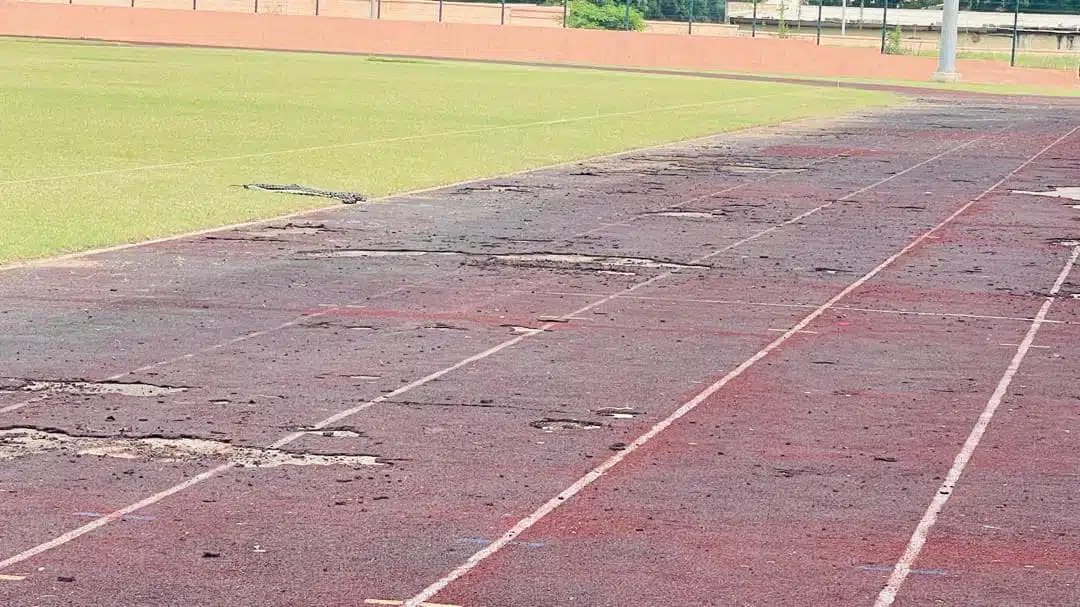 Cameroun : À 24h du match contre la Namibie, des images dégradantes du stade de Garoua affolent la toile 