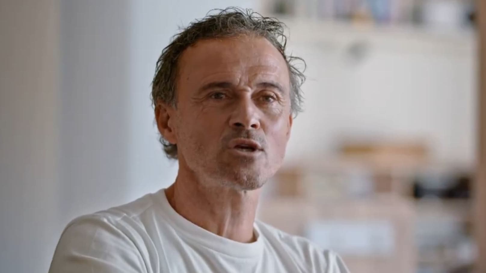 Luis Enrique 1956785