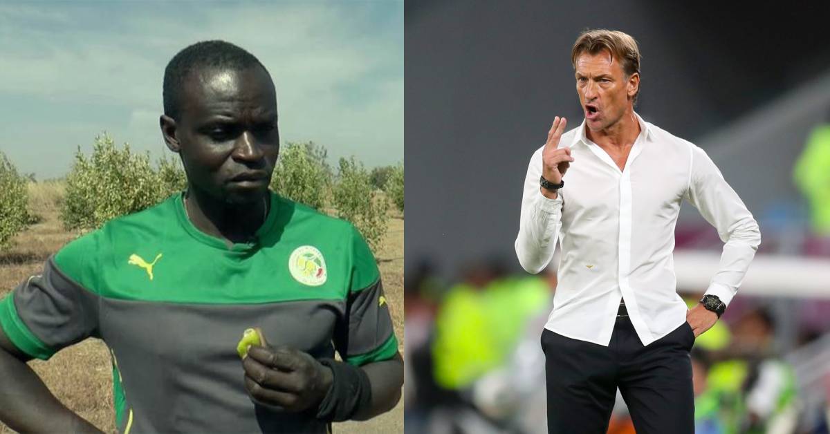 Ferdinand Coly lâche une bombe : « Si Hervé Renard rejoint le Sénégal, c’est pour… »