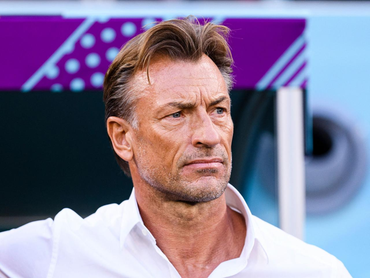 Sénégal : C'est fini pour Hervé Renard !