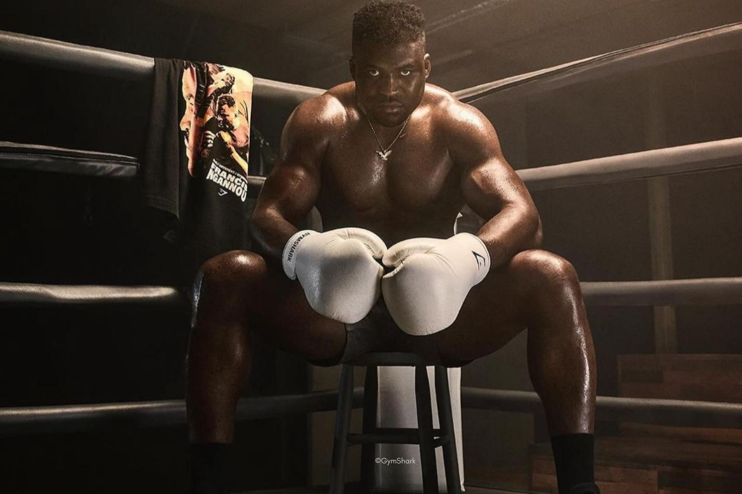 une bonne nouvelle pour Francis Ngannou 1 une bonne nouvelle pour Francis Ngannou