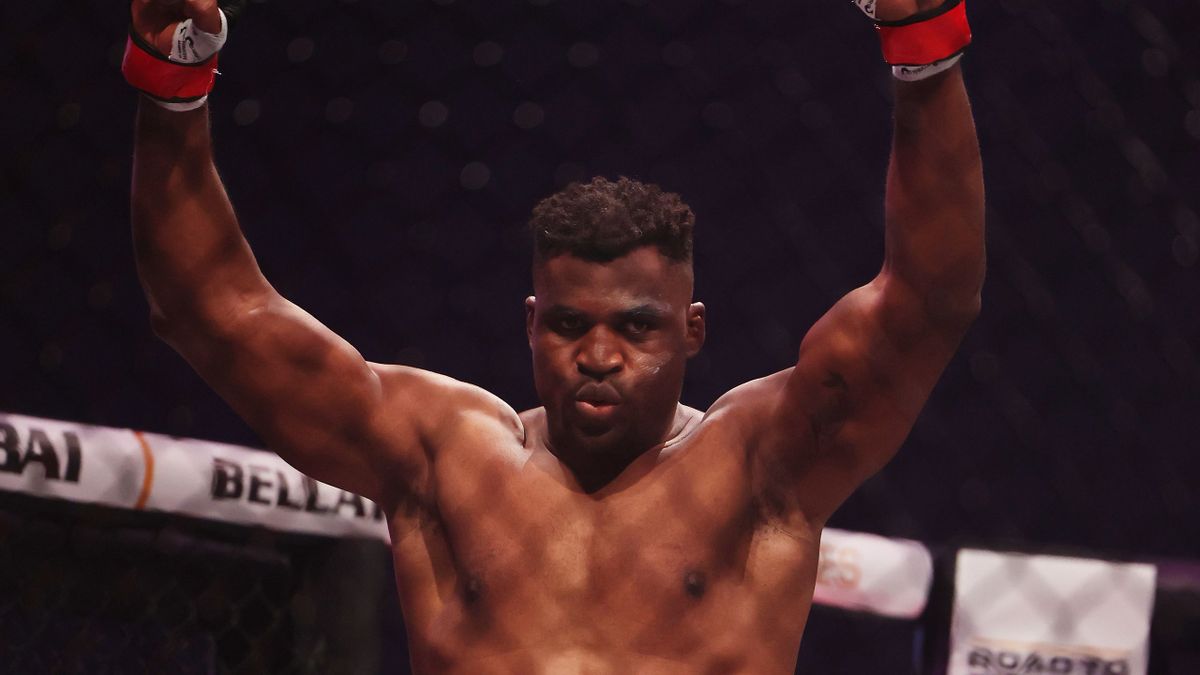 Zlatan Ibrahimovic sur le ring avec Ngannou ? Le Suédois va porter les gants 