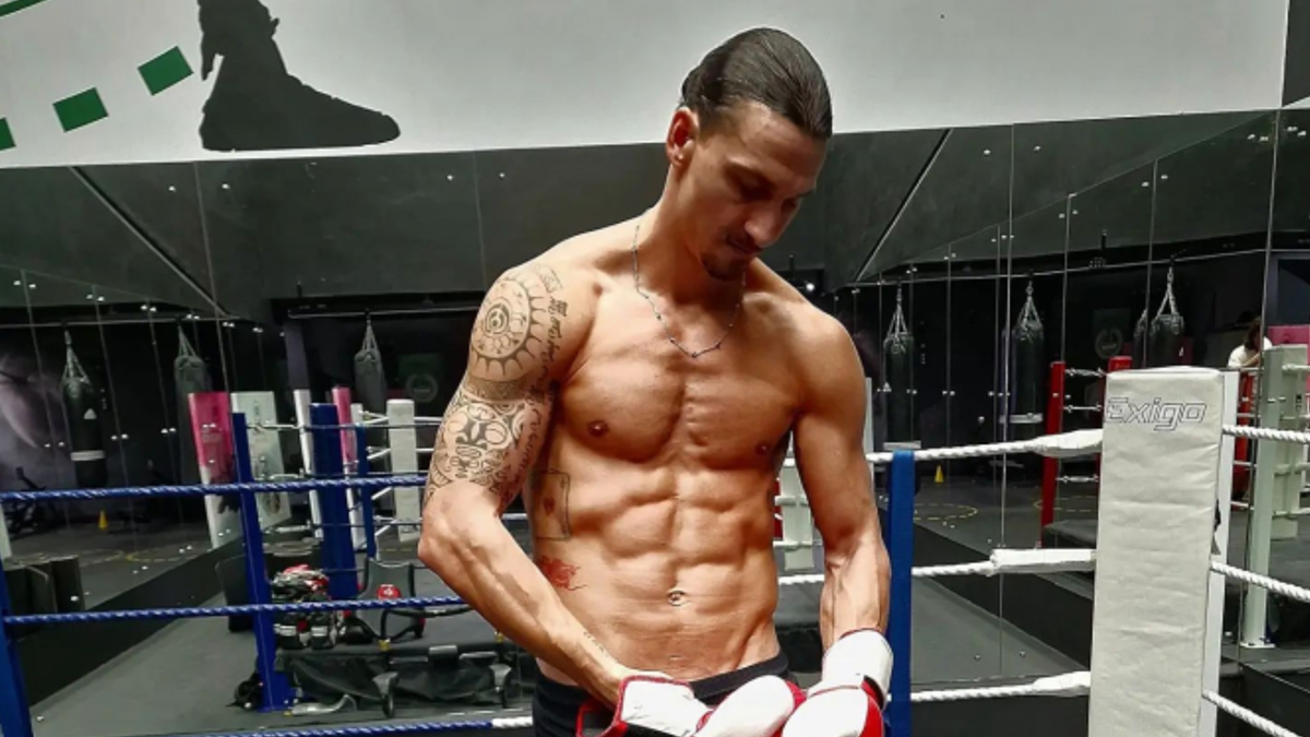 zlatan ibrahimovich