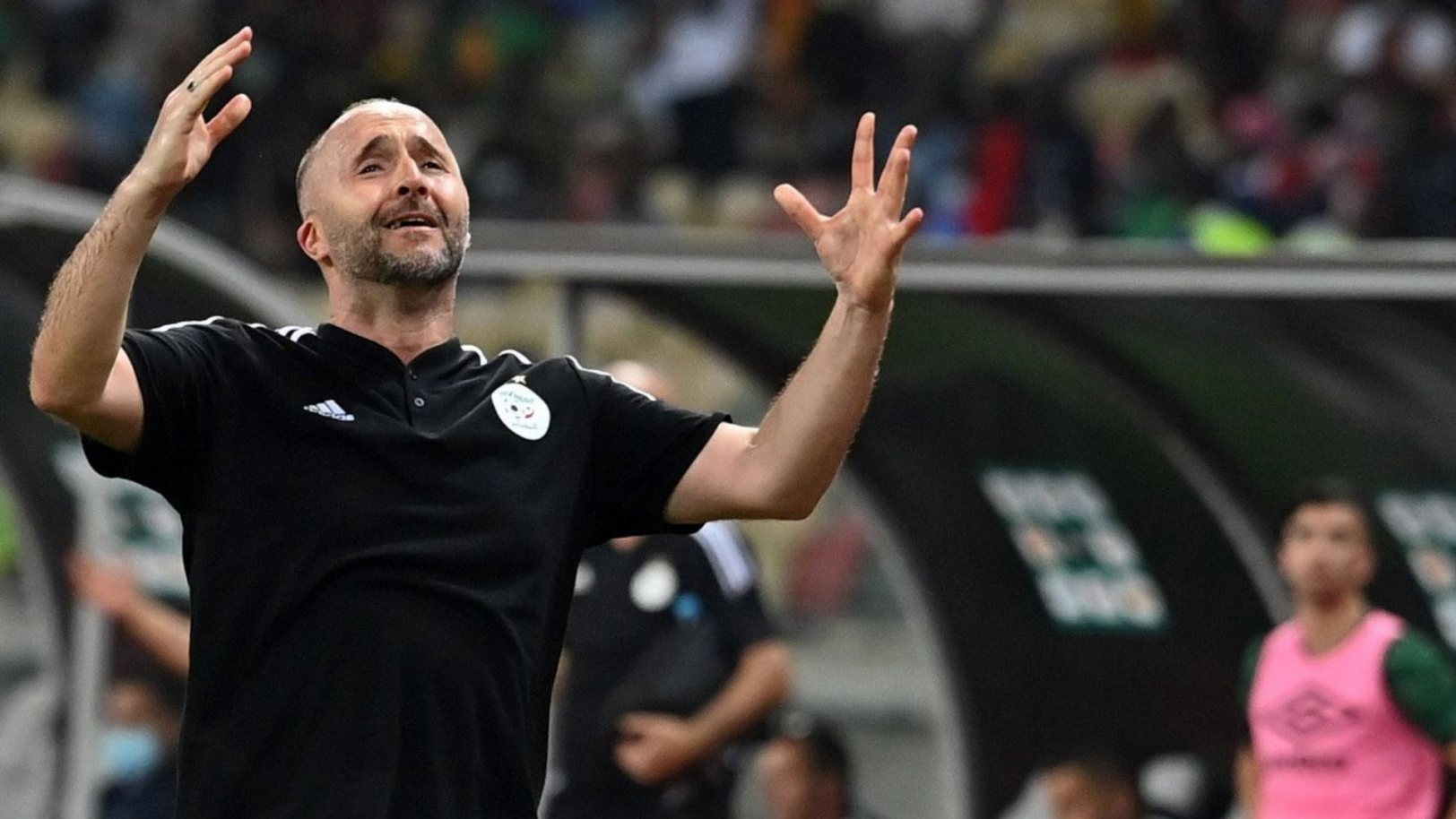 Algérie : Djamel Belmadi en deuil ! 