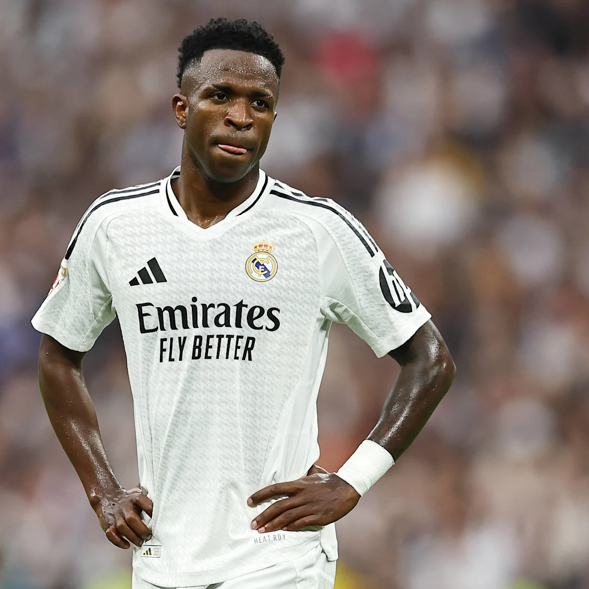 Real Madrid : le remplaçant de Vinicius déjà identifié en cas de départ